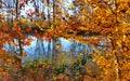 Autumn in La Mandria Park, Venaria Reale town, Italy. Nature, environment and tourism Royalty Free Stock Photo