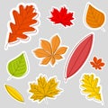 Autumn labels, colorful leaves, set, collection