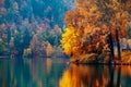 Autumn at lake Bled Royalty Free Stock Photo