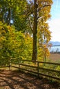 Autumn by lake chiemsee Royalty Free Stock Photo