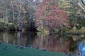 Autumn Lake in Connecticut