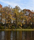 Fall trees reflected in the water of a north woods lake