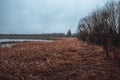 Autumn lake with fog and yellow grass. Movie atmosphere Royalty Free Stock Photo