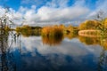 Lake island, overgrown with autumn yellow reeds Royalty Free Stock Photo