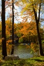 Autumn Lake Landscape