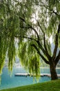 Autumn on the Lake Ledro Royalty Free Stock Photo