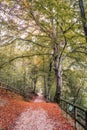 Autumn on the Lake Ledro Royalty Free Stock Photo