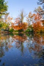 Autumn lake scene Royalty Free Stock Photo