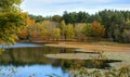 Autumn lake scenery Royalty Free Stock Photo