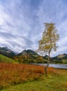 Autumn on Lake Schwarzsee