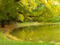 Autumn on lake side, beautiful landscape Royalty Free Stock Photo