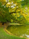 Autumn on lake side, beautiful landscape Royalty Free Stock Photo