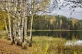 Autumn lake Svetloyar where the city of Kitezh sank, Nizhny Novgorod region
