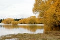 Autumn in Lake Tekapo, New Zealand Royalty Free Stock Photo