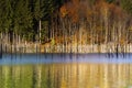 Autumn lake in warm colors. Royalty Free Stock Photo
