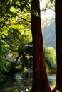 autumn lake water reflection sun Royalty Free Stock Photo