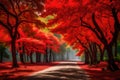 AUTUMN LAND SCAPE AND PATH GENERATED BY AI TOOL Royalty Free Stock Photo