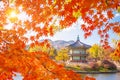 Autumn landmark at Gyeongbokgung palace with Maple leaves, Seoul Royalty Free Stock Photo