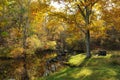 Autumn Landscape