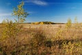 Autumn landscape