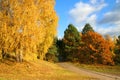 Autumn Landscape