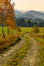 Autumn landscape