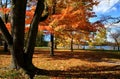 Autumn Landscape