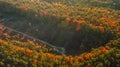 Autumn landscape. Aerial view. Autumn forest on the hill