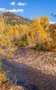 Autumn Landscape Along the Delores River Colorado Royalty Free Stock Photo