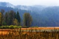 Autumn landscape along the Santiam Pass Royalty Free Stock Photo