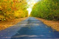 Autumn landscape. Asphalt road leading into the distance. Leaves on the road Royalty Free Stock Photo
