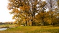 Autumn landscape. Autumn sunny day in the park. Royalty Free Stock Photo