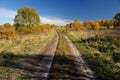 Autumn landscape background. Empty country road in sunny day Royalty Free Stock Photo