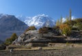 Autumn landscape background with fall colours trees in northern areas of Pakistan Royalty Free Stock Photo