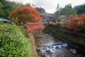 Autumn landscape background Red leave in Obara Nagoya Japan Royalty Free Stock Photo