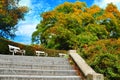 Autumn landscape. Beautiful colorful autumn city park with white benches