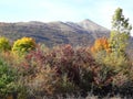 Autumn landscape. Beautiful colours of nature