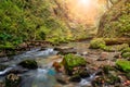 Autumn landscape with beautiful creek