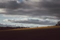 Autumn landscape. Beautiful field with Golden grass on the background of cloudy stormy sky and clouds. A couple of people walking Royalty Free Stock Photo