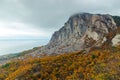 Autumn landscape, beautiful mountains, yellow plants Royalty Free Stock Photo