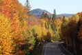 Autumn landscape