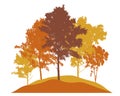 Autumn landscape. Beautiful trees birch, color silhouette. Vector illustration