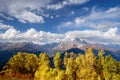 Autumn Landscape with birch forest and mountain peak Ushba Royalty Free Stock Photo