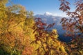 Autumn Landscape with birch forest and mountain range Royalty Free Stock Photo