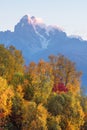 Autumn Landscape with birch forest and mountain range Royalty Free Stock Photo