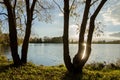 Autumn landscape. Birch grove on the coast lake. Bright colors at sunset. Great place to walk or picnic. In the distance, gray Royalty Free Stock Photo