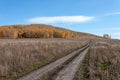 Autumn landscape, birch trees on a hillside painted in autumn colors, country road through a field overgrown Royalty Free Stock Photo