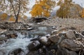 Autumn Landscape With Birches With Golden Yellow Foliage And Cold Creek. Autumn Mountain Landscape With River, Birch And Old Woode