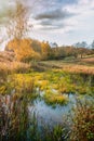 Autumn landscape of boggy area with reeds and colorful trees against dramatic sky