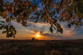 autumn landscape through the branches of a tree on the field with a sunset Royalty Free Stock Photo